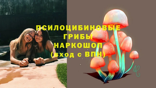 ГАЛЛЮЦИНОГЕННЫЕ ГРИБЫ Гусев