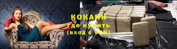 ГАЛЛЮЦИНОГЕННЫЕ ГРИБЫ Гусев