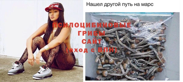 гидра Гусь-Хрустальный