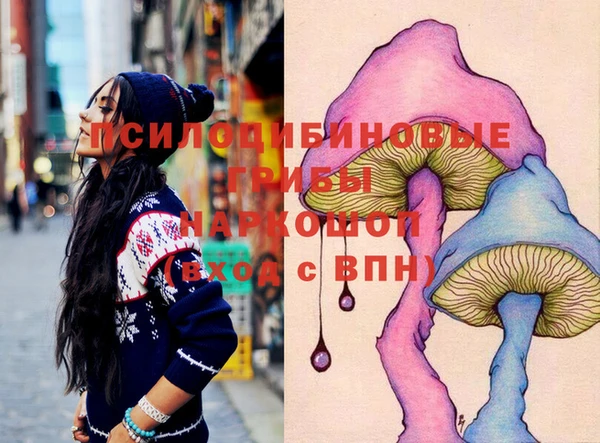 ГАЛЛЮЦИНОГЕННЫЕ ГРИБЫ Гусев