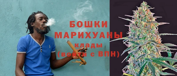 ГАЛЛЮЦИНОГЕННЫЕ ГРИБЫ Гусев