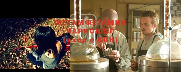 ГАЛЛЮЦИНОГЕННЫЕ ГРИБЫ Гусев